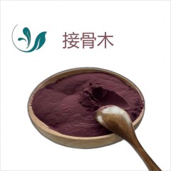 Elderberry