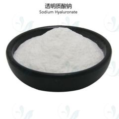 Sodium hyaluronate