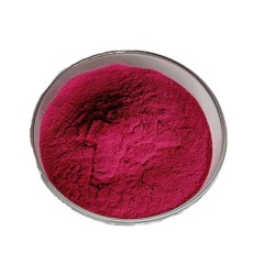 Dragon fruit juice powder