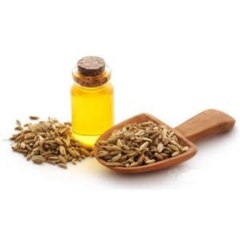 Fennel oil