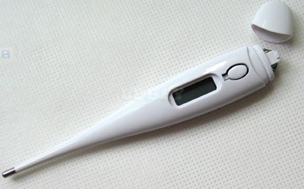Baby Adult Digital LCD Body Thermometer with Memory Function Hard-head Clinical Thermometer for Baby Health Care