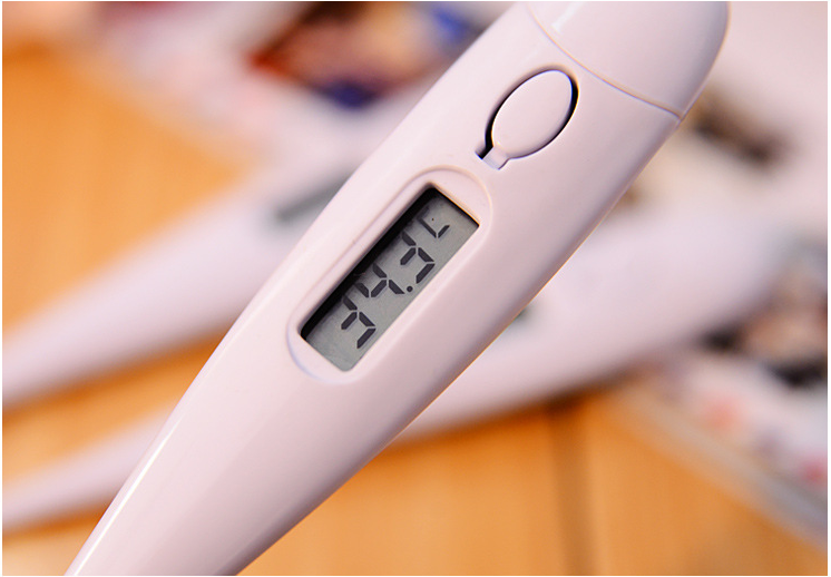 Baby Adult Digital LCD Body Thermometer with Memory Function Hard-head Clinical Thermometer for Baby Health Care