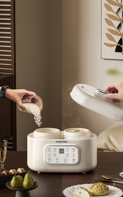 HAIPAI | Multi-Functional Steamer,MY SHOP,HAIPAI | Multi-Functional Steamer