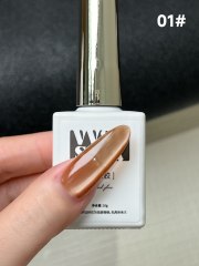 MYBS-01