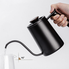 Liangyuan LY20241103 600ml Stainless Steel Modern Stocked Body Walnut Handle Gooseneck Pot Hand Brew Drip Pour Over Kettle