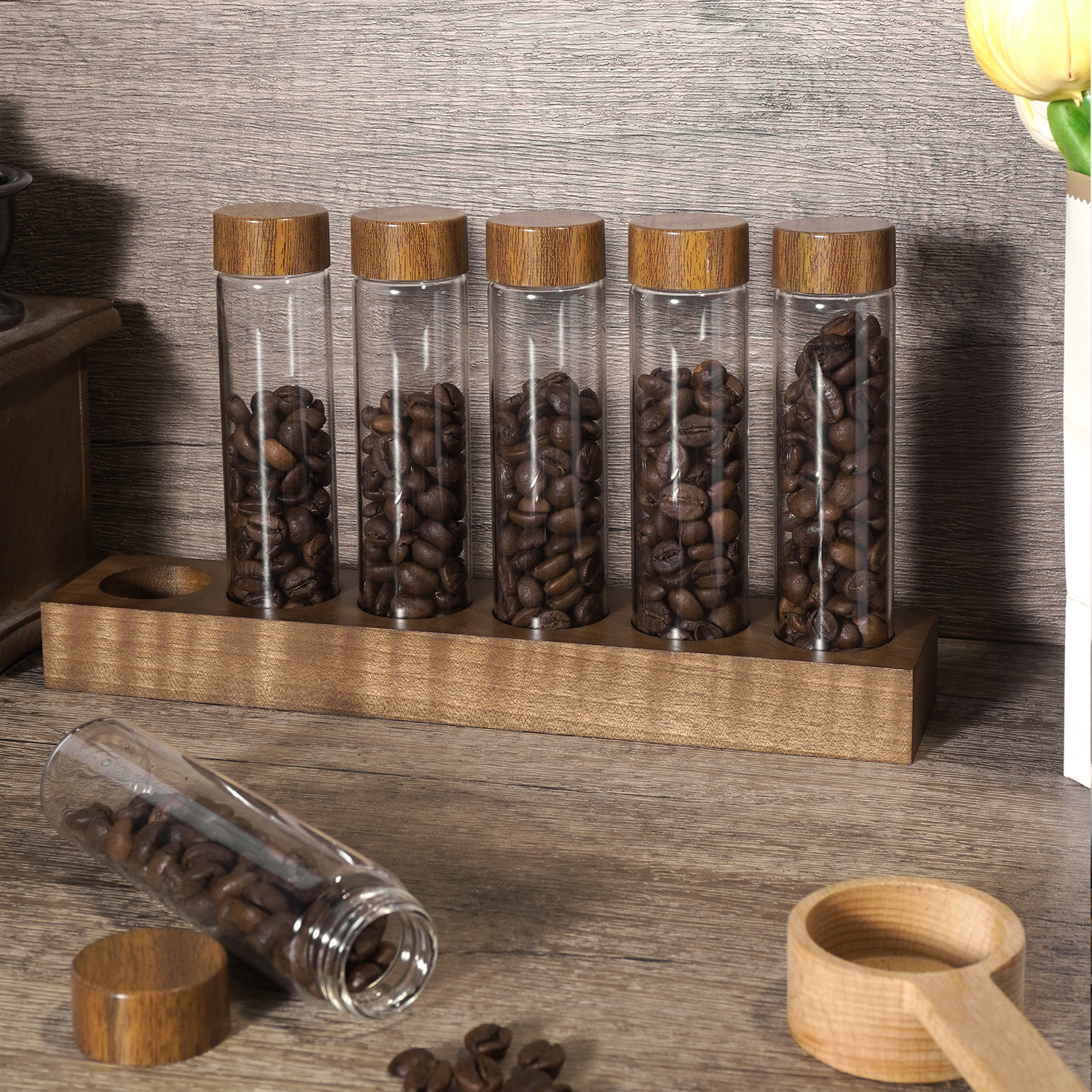 Tube for Coffee Beans 29.7*122.5mm,CIRAY,Round Bottom Borosilicate Glass Tube for Coffee Beans Spice Display with Airtight Wood Lid and Holder