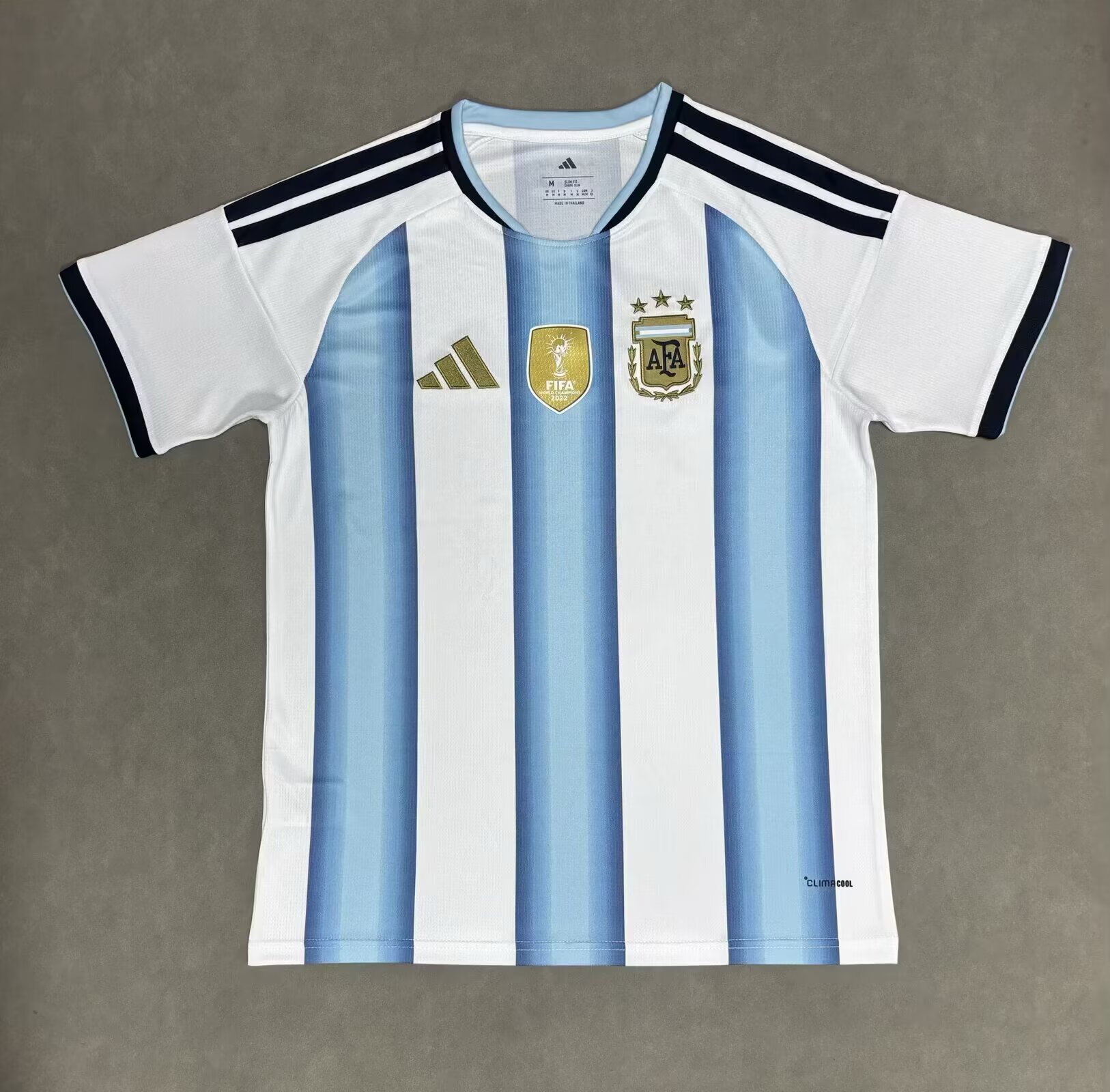 2026 World cup Argentina home Fan version