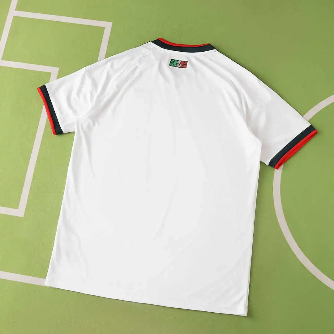 2026 World cup Mexico ayay Fan version