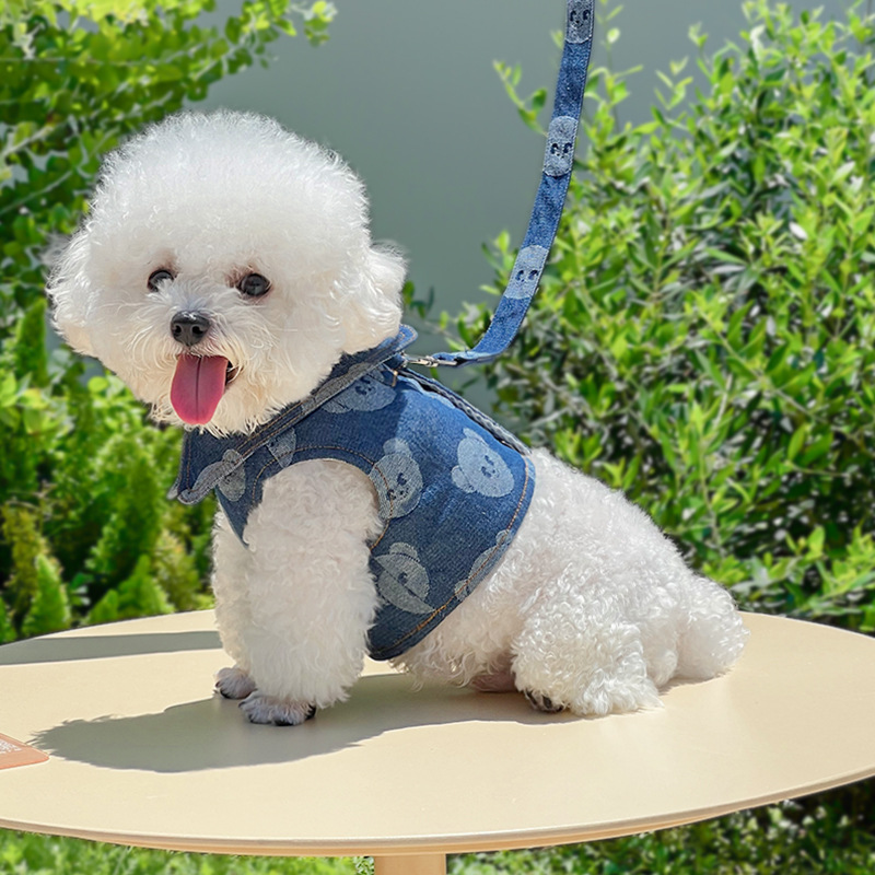 Cat Denim Harness / Multiple Sizes Available / Pet Harness for Outdoor Walking