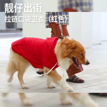 Autumn and winter fleece pets sweater with pocket