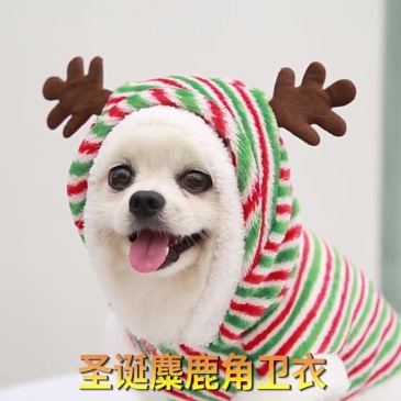Christmas reindeer pet costume
