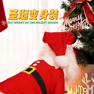 Santa Claus costume for pets