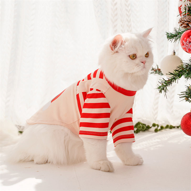Santa Claus costume for pets