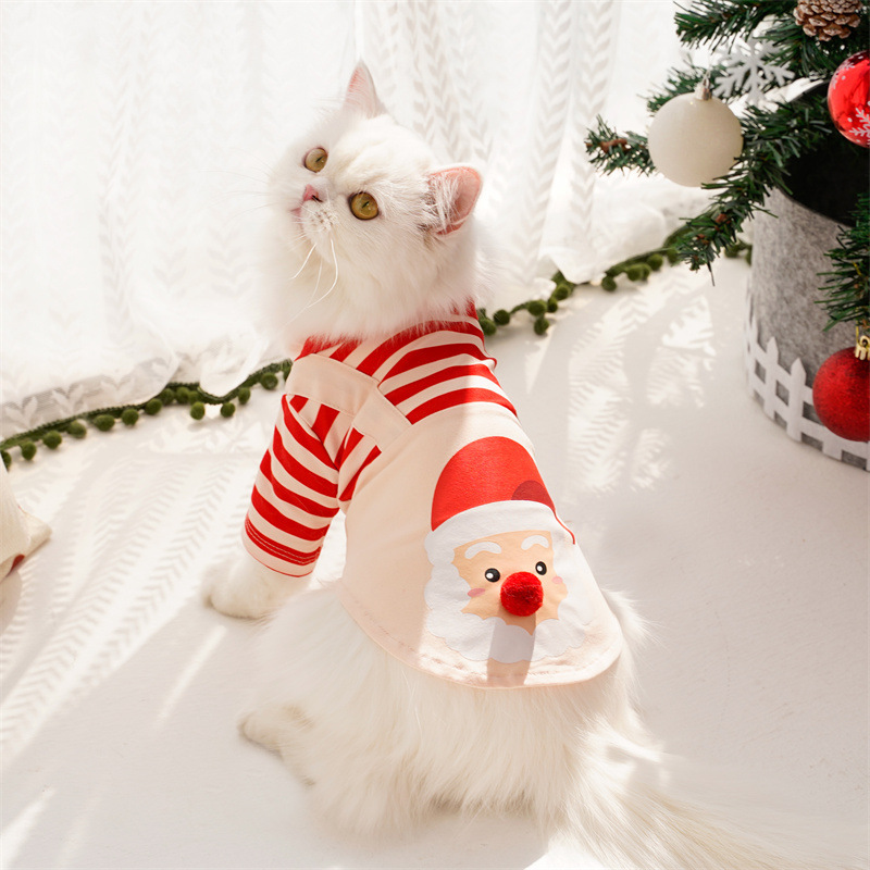Santa Claus costume for pets