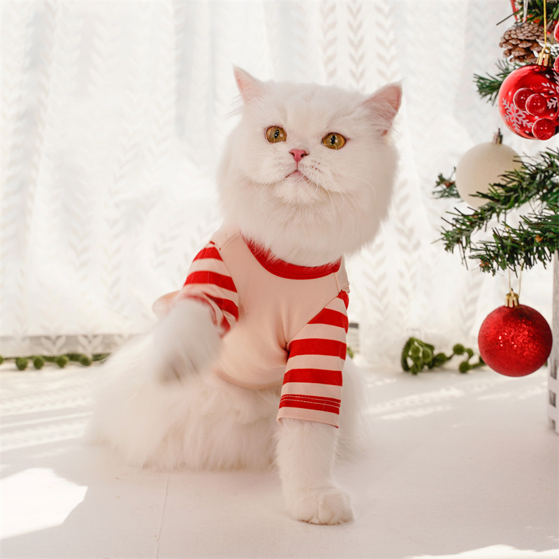 Santa Claus costume for pets