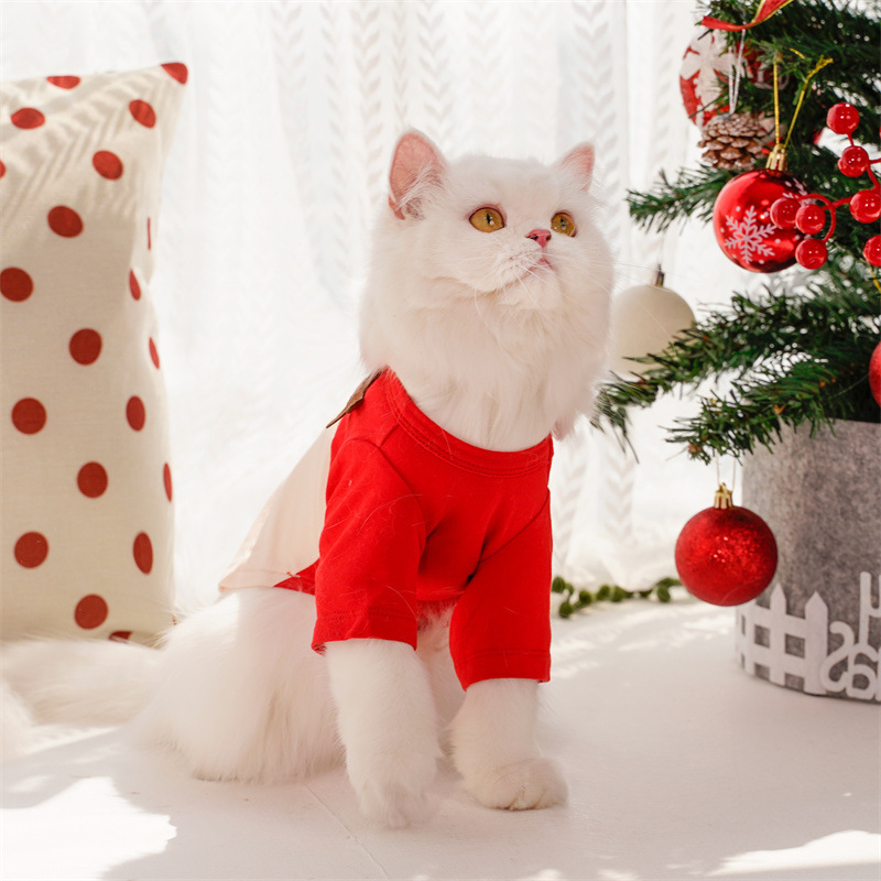 Santa Claus costume for pets