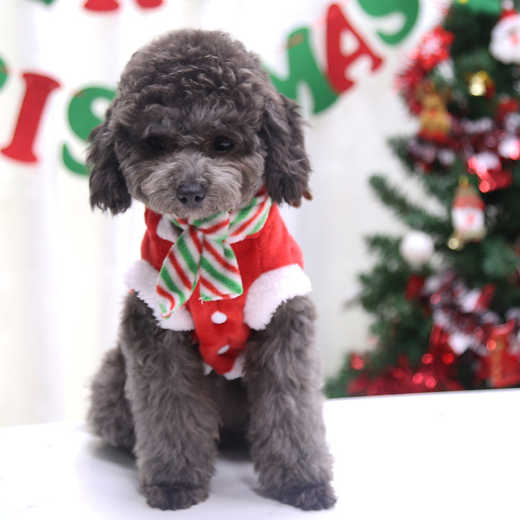 Christmas reindeer pet costume