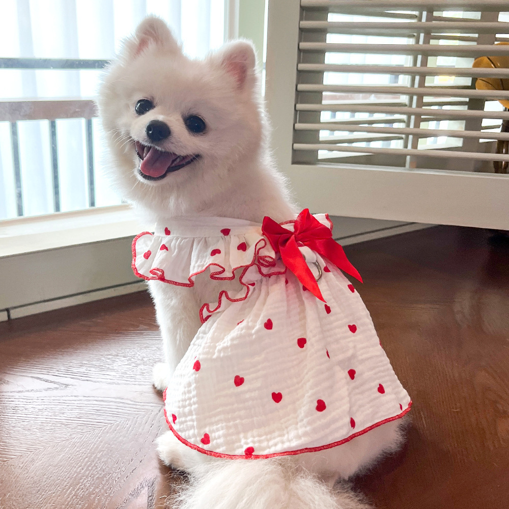 Spring and summer pet dresses