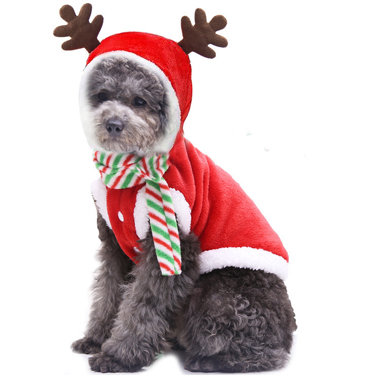 Christmas reindeer pet costume