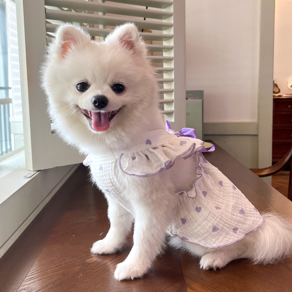 Spring and summer pet dresses