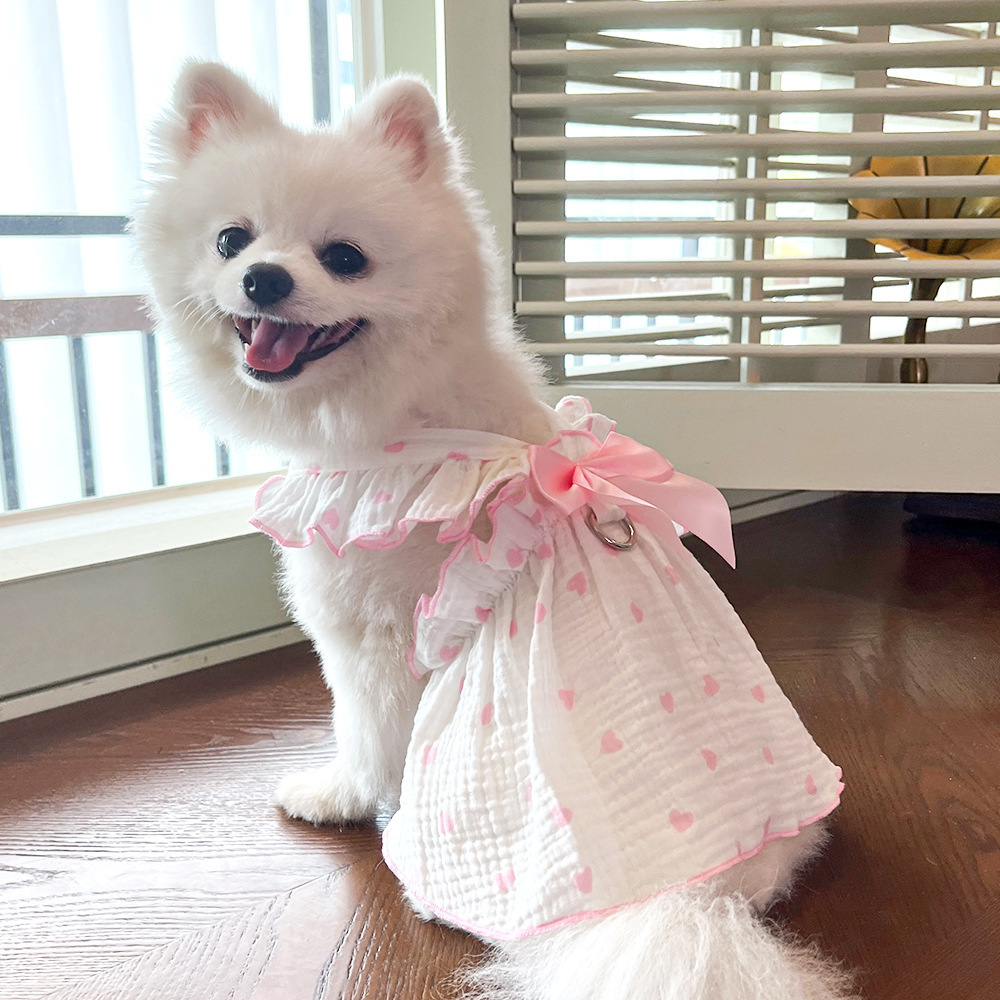 Spring and summer pet dresses