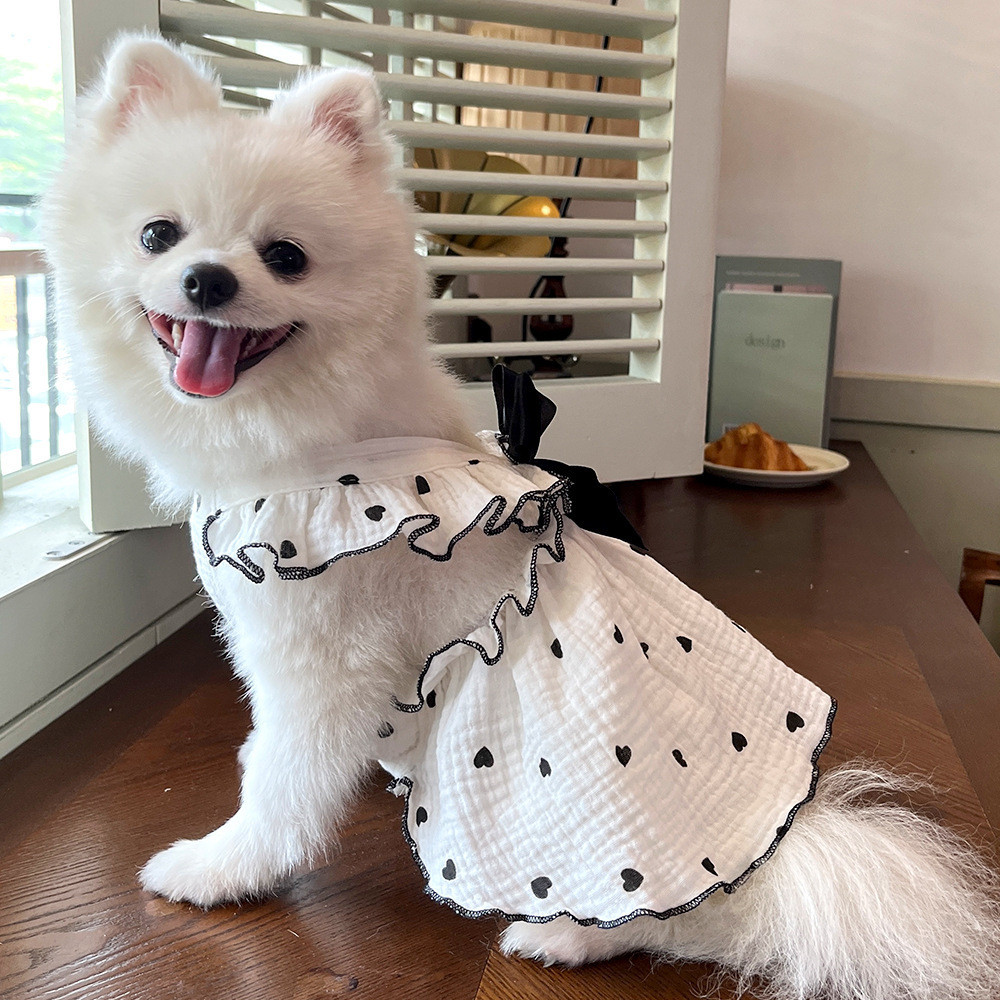 Spring and summer pet dresses