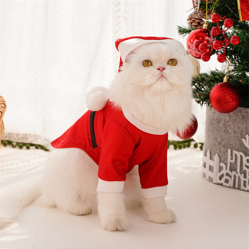 Santa Claus costume for pets