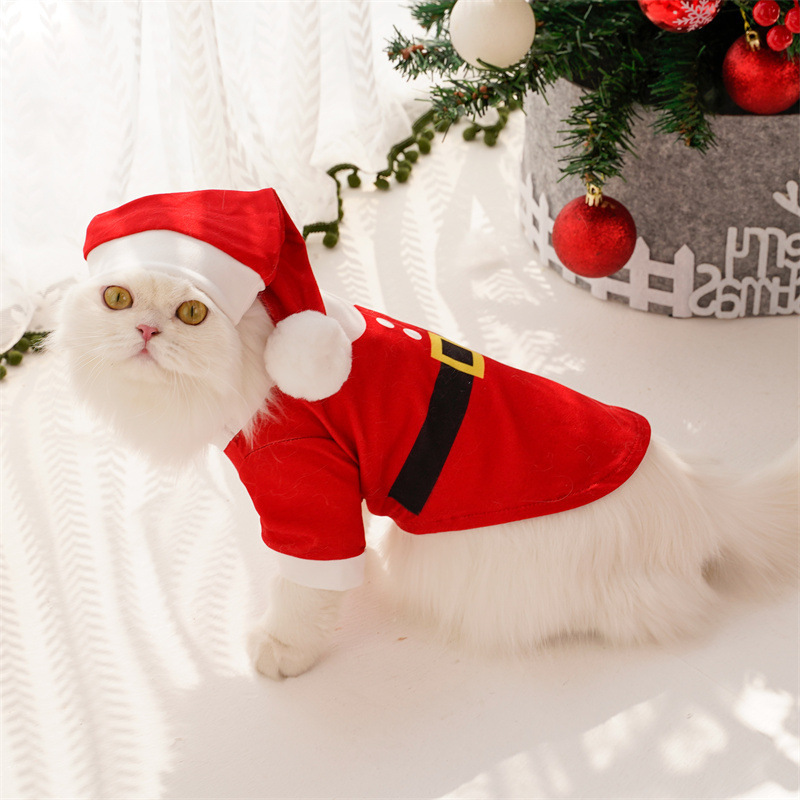 Santa Claus costume for pets