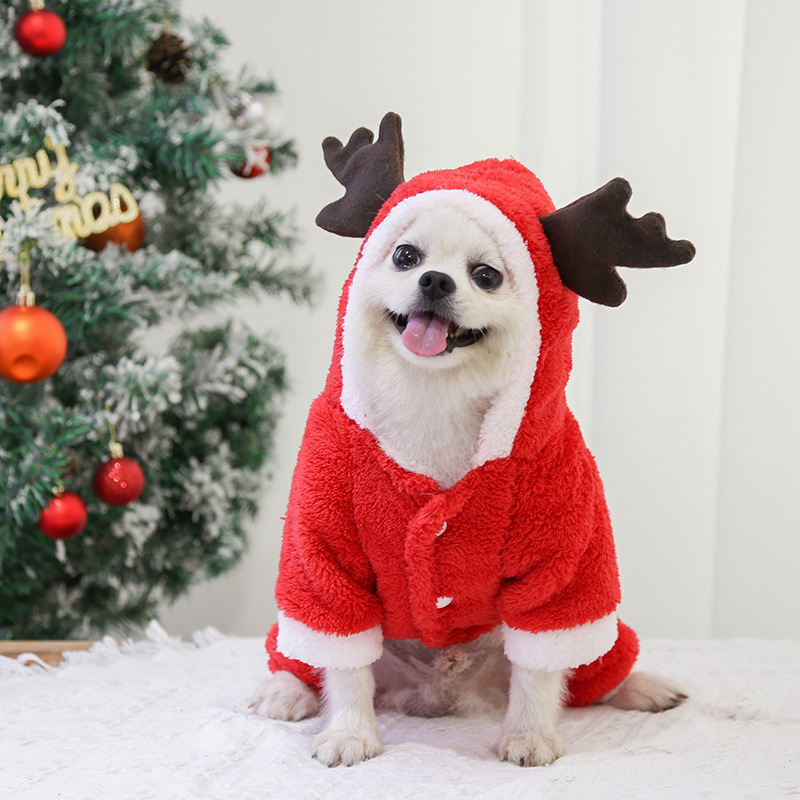 Christmas reindeer pet costume