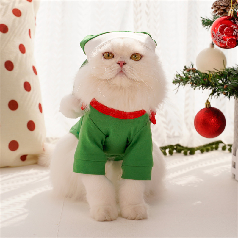 Santa Claus costume for pets