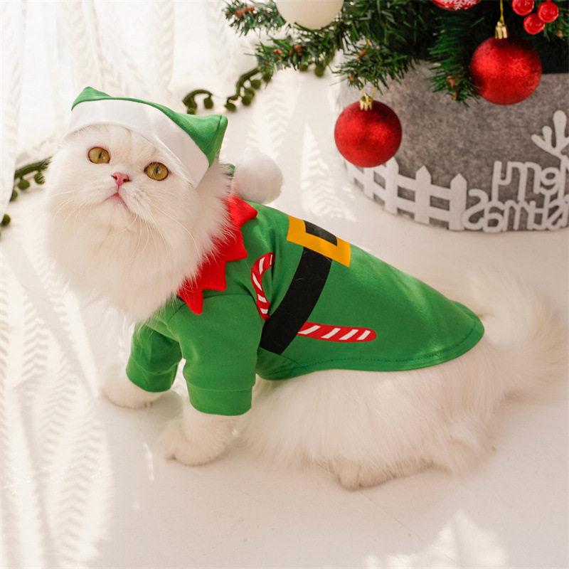 Santa Claus costume for pets