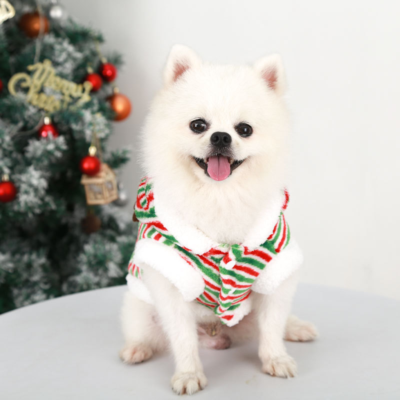 Christmas reindeer pet costume