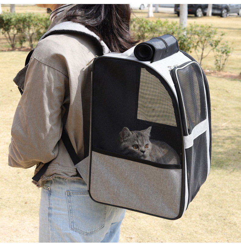 Portable outdoor pet backpack