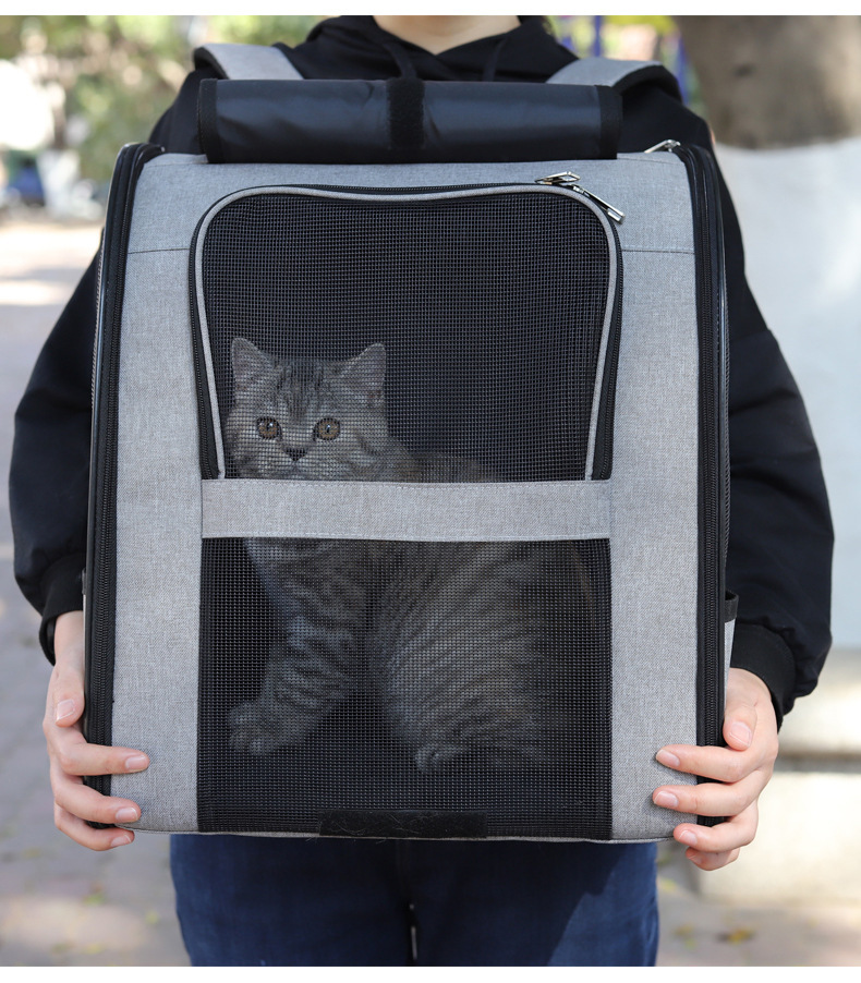 Portable outdoor pet backpack