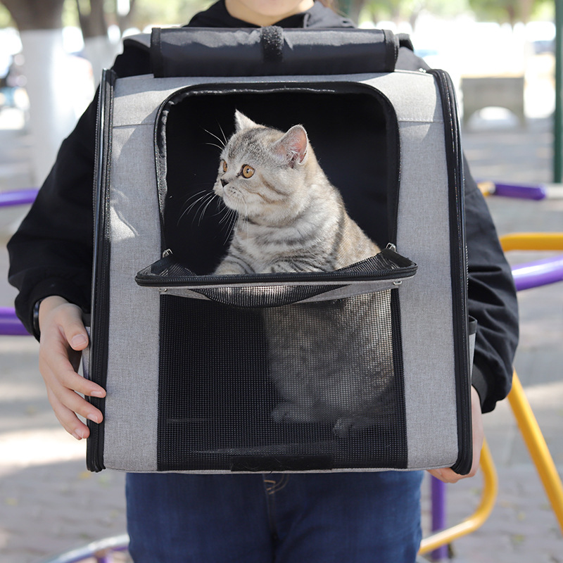 Portable outdoor pet backpack