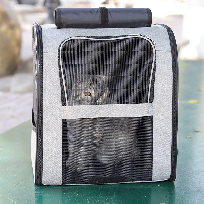 Portable outdoor pet backpack