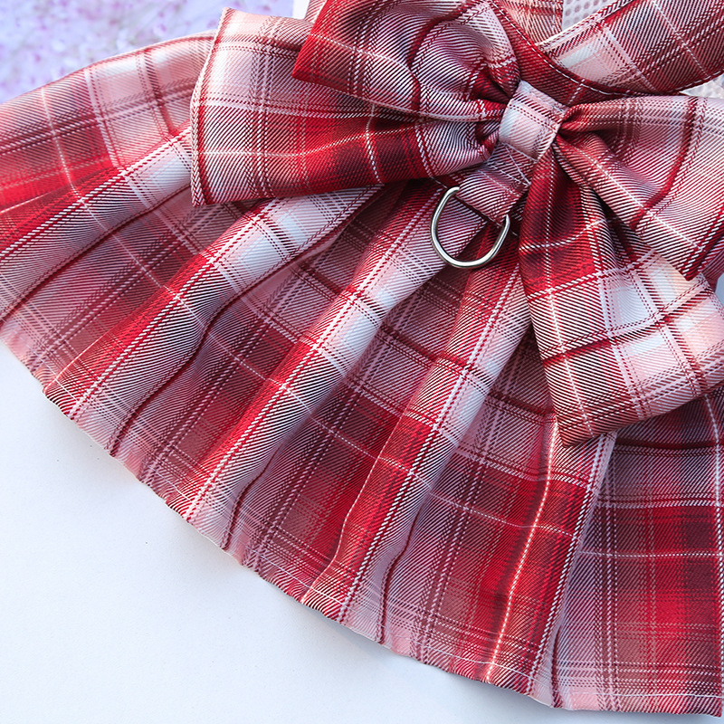 JK checkered dog skirt with leash