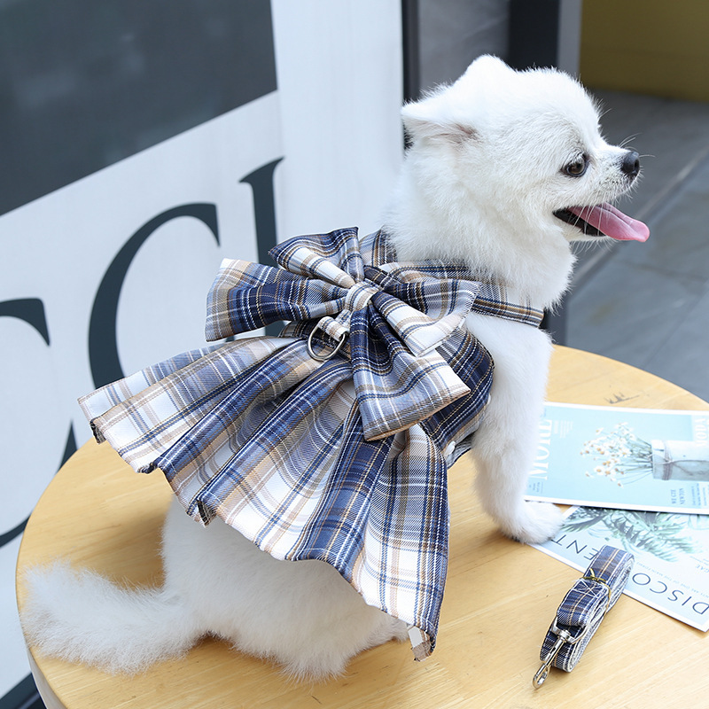 JK checkered dog skirt with leash