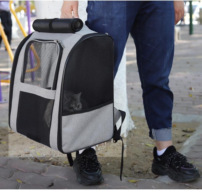 Portable outdoor pet backpack