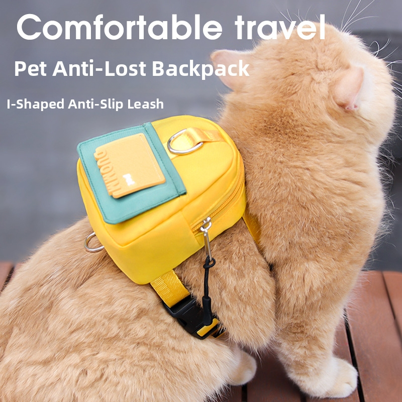 Backpack style pet harness with leash