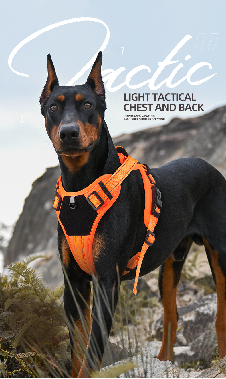 Vest-style reflective dog harness