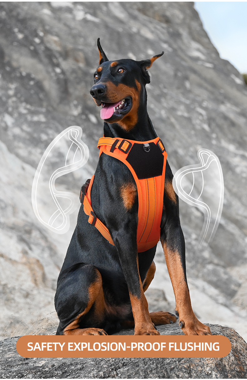 Vest-style reflective dog harness