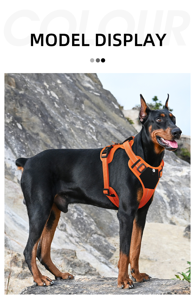 Vest-style reflective dog harness