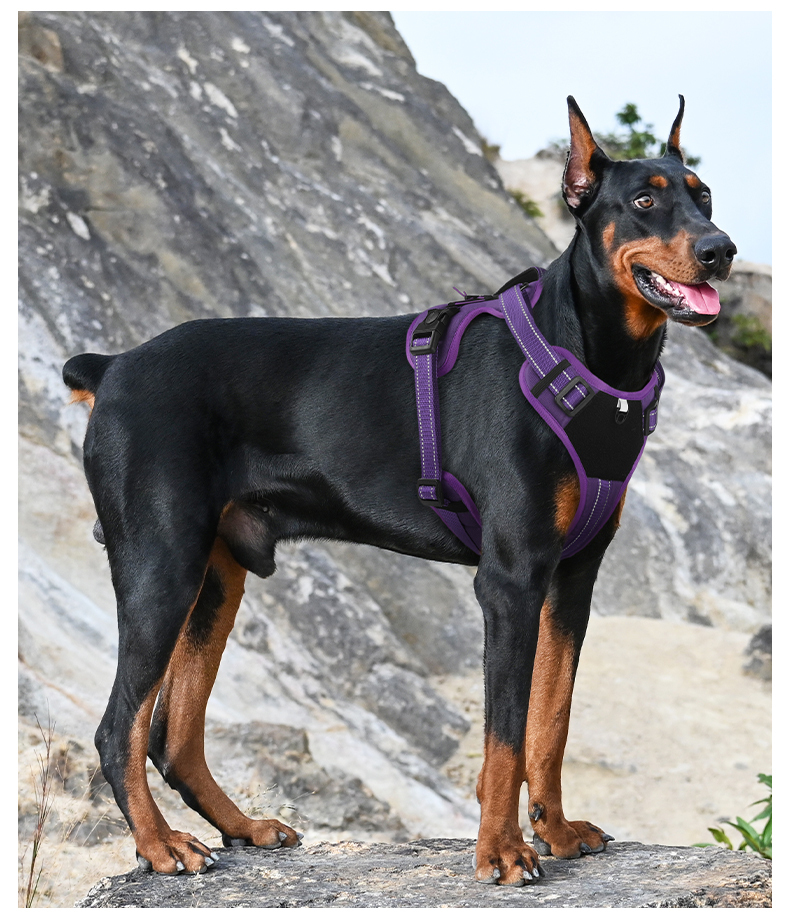 Vest-style reflective dog harness
