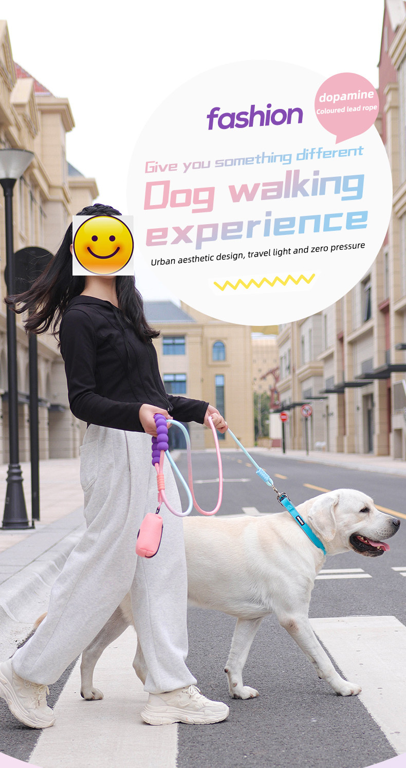 Dopamine competition-grade nylon dog leash