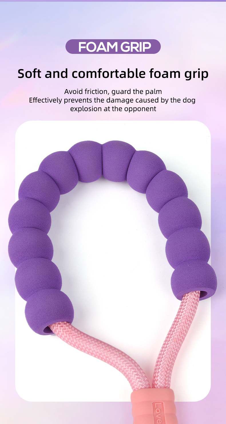 Dopamine competition-grade nylon dog leash