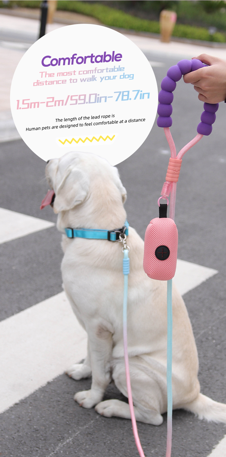 Dopamine competition-grade nylon dog leash