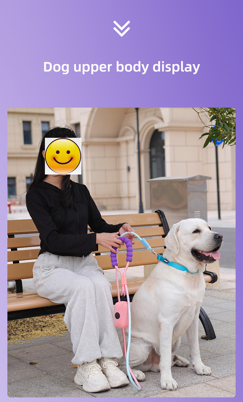 Dopamine competition-grade nylon dog leash
