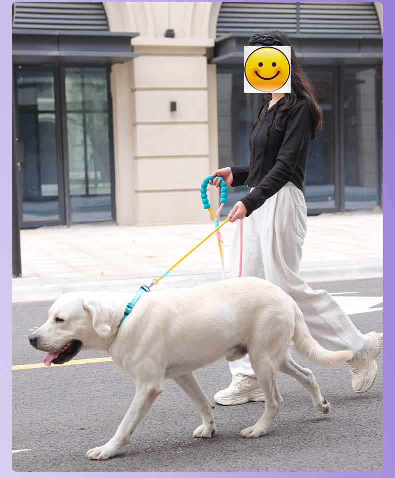 Dopamine competition-grade nylon dog leash