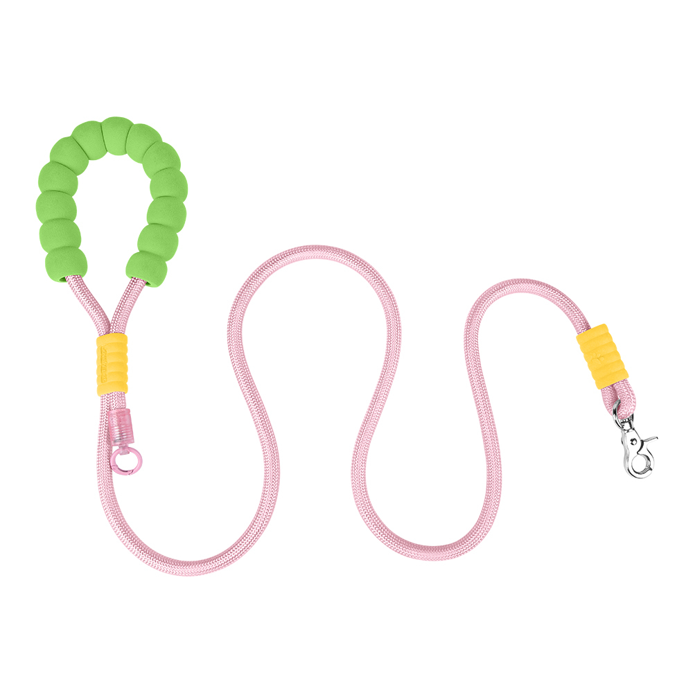 Dopamine competition-grade nylon dog leash